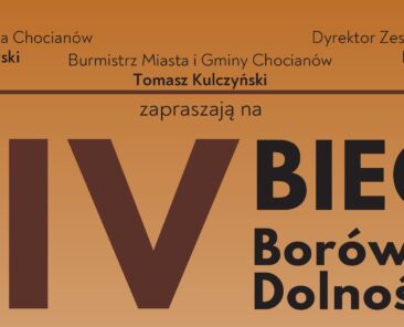 plakat bieg borow 2024 obrazek